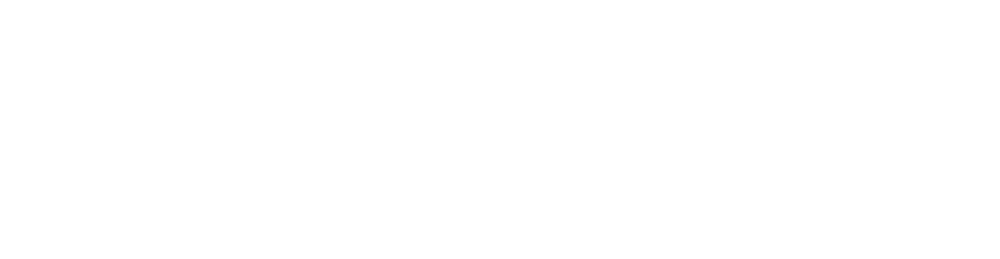 VNPT Logo